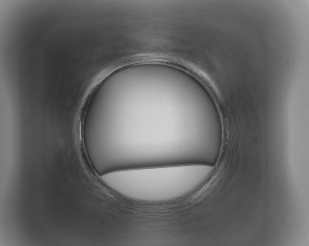 X0000111841365200907231031