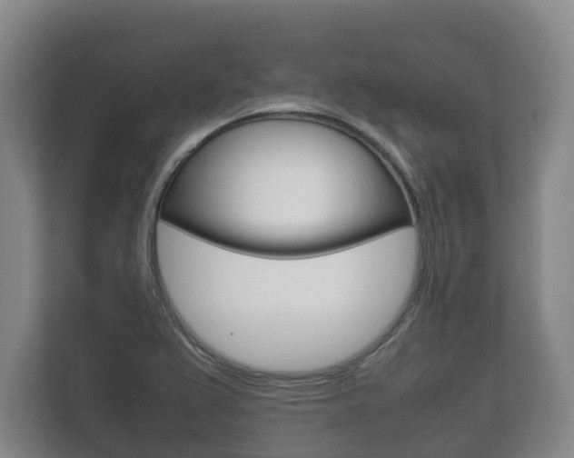 X0000111841367200907231031