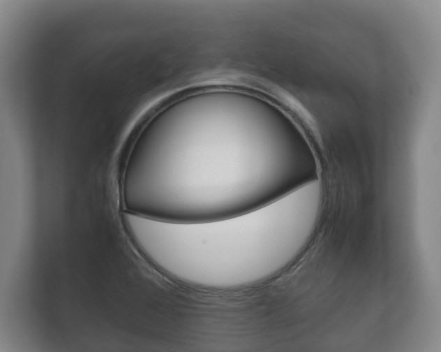 X0000111841368200907231031