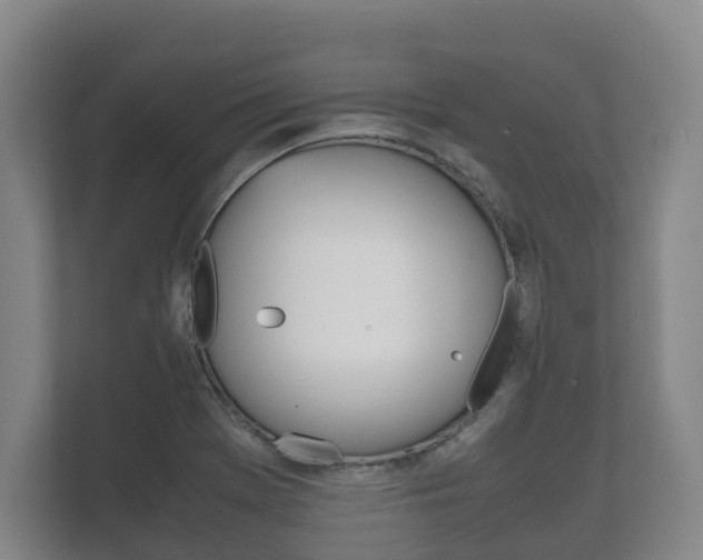 X0000111841369200907231030
