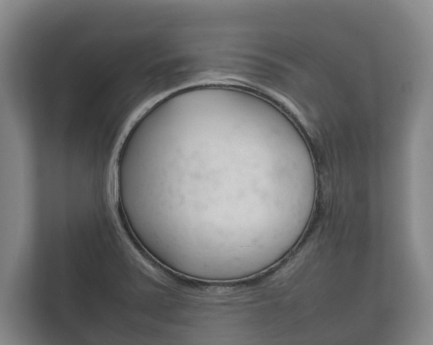 X0000111841371200907231030