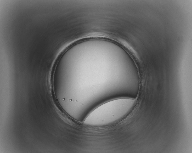 X0000111841372200907231030