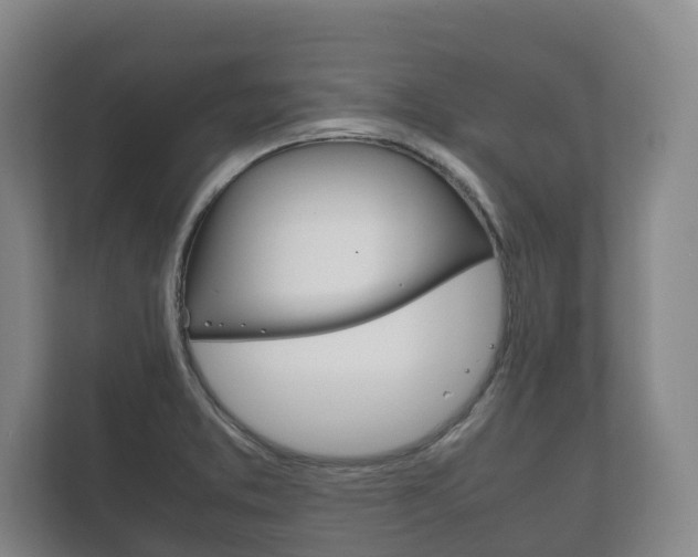 X0000111841373200907231030