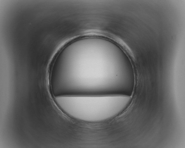 X0000111841376200907231030