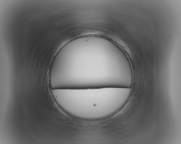 X0000111841377200907231030