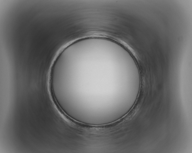 X0000111841379200907231030