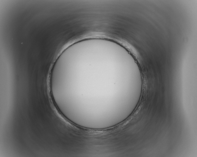 X0000111841382200907231030