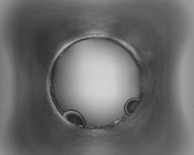 X0000111841383200907231030