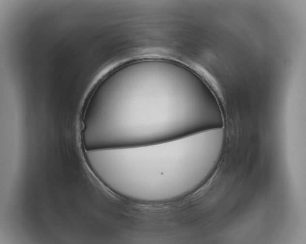 X0000111841384200907231030