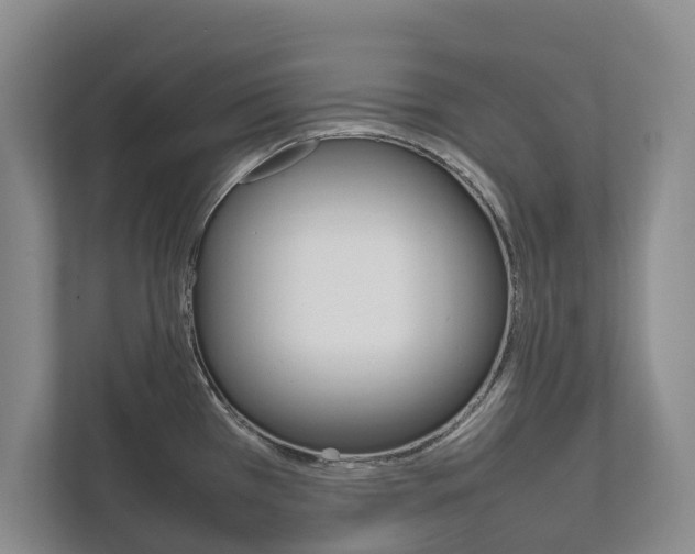X0000111841385200907231030