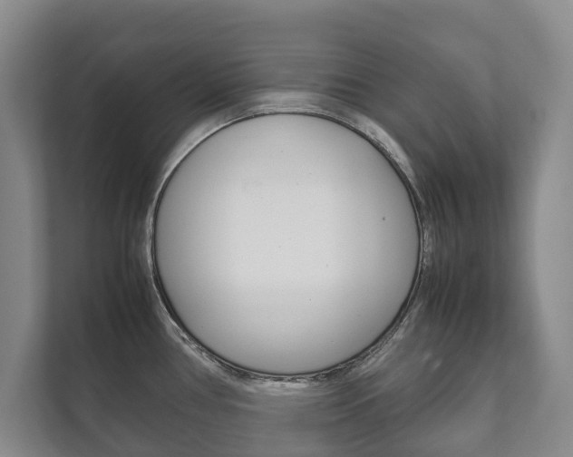 X0000111841386200907231030