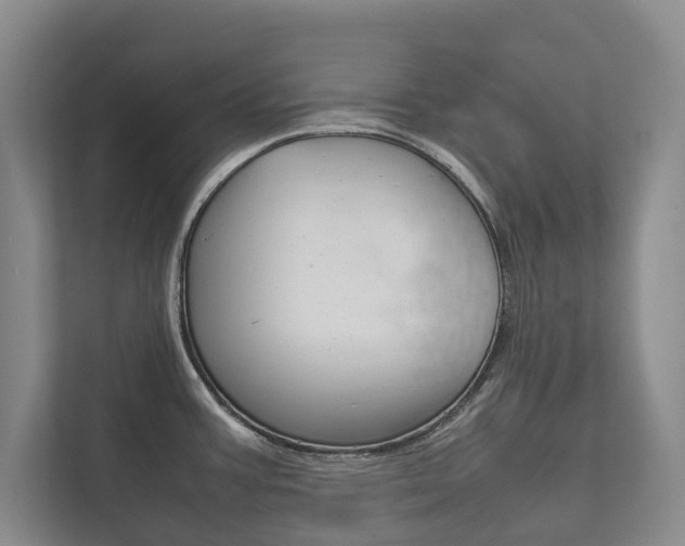 X0000111841387200907231030