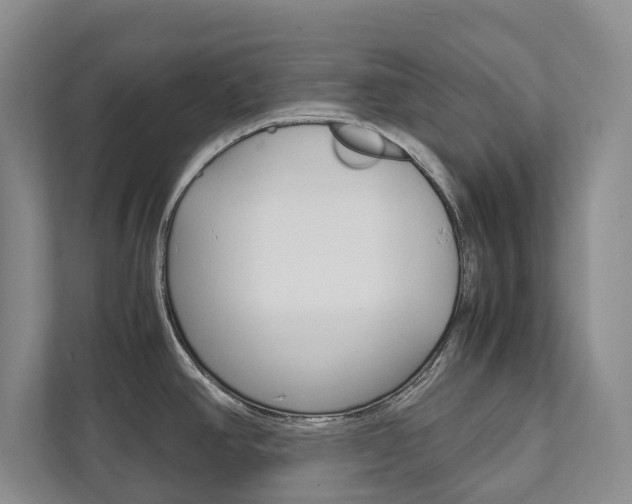 X0000111841390200907231030