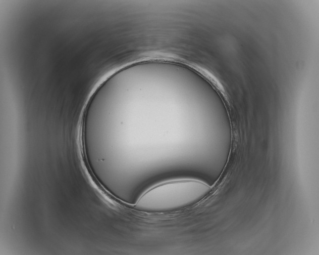 X0000111841391200907231030