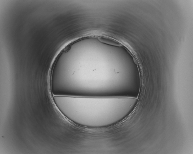 X0000111841392200907231030