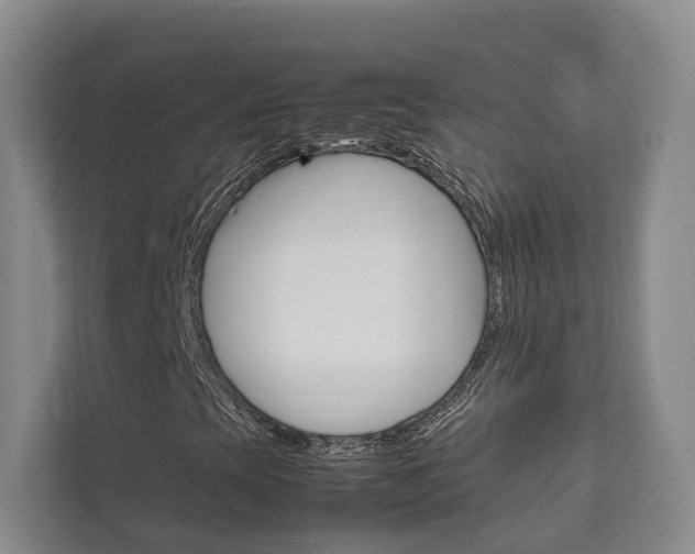 X0000111841393200907231030