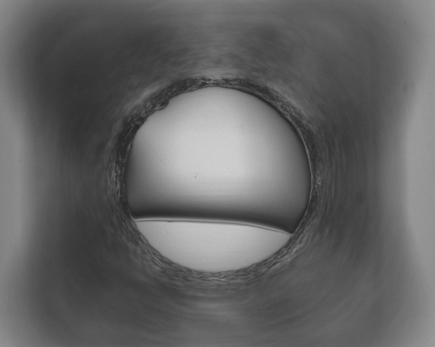 X0000111841398200907231030