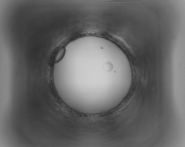 X0000111841399200907231030