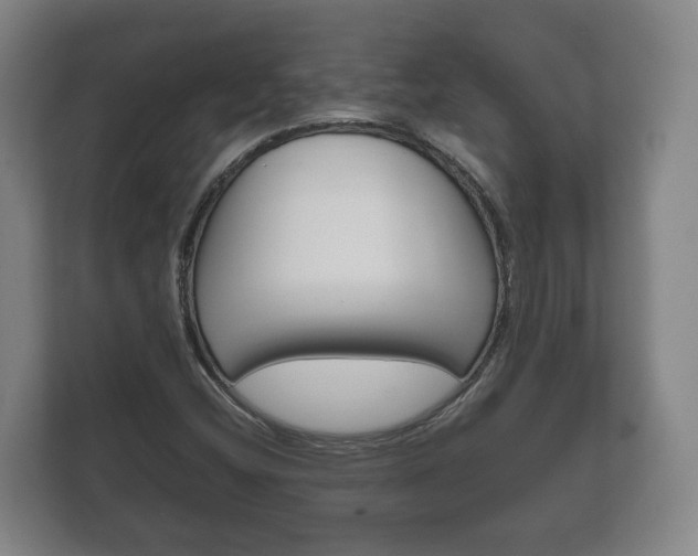 X0000111841404200907231030