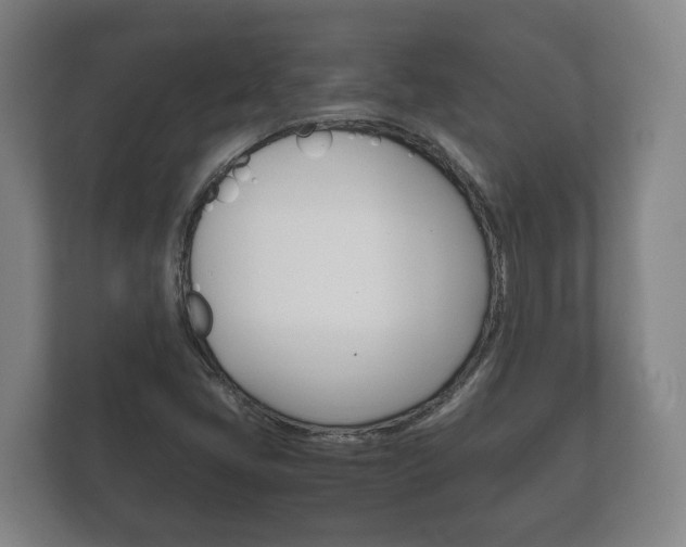 X0000111841405200907231030