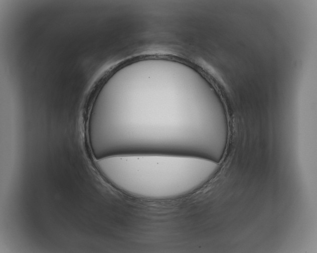 X0000111841408200907231030