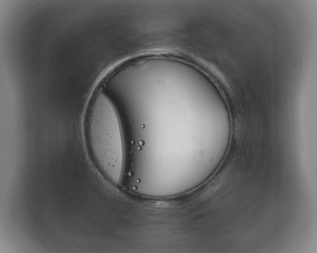X0000111841412200907231030