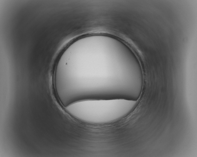 X0000111841416200907231030