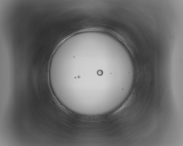 X0000111841417200907231030