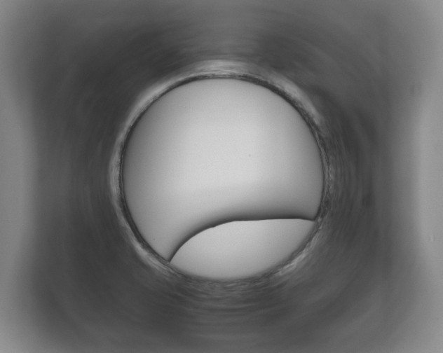 X0000111841421200907231030