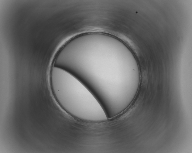 X0000111841424200907231030