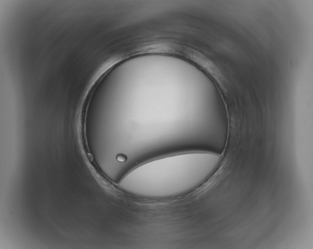 X0000111841426200907231030