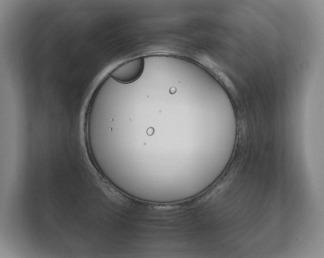 X0000111841427200907231030