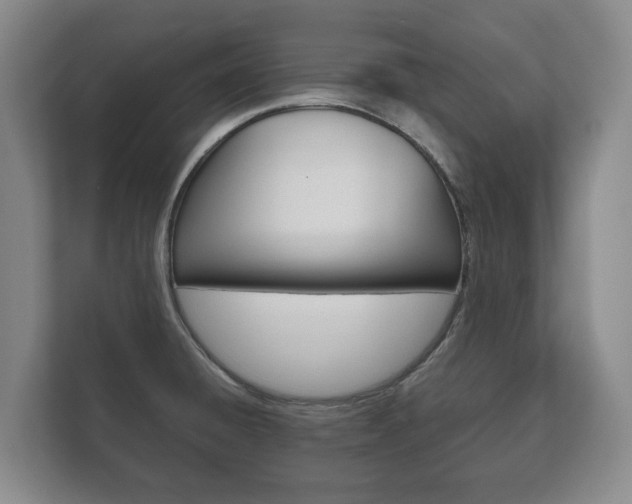 X0000111841428200907231030