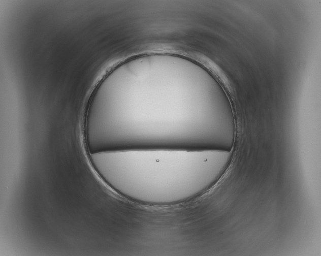 X0000111841432200907231030