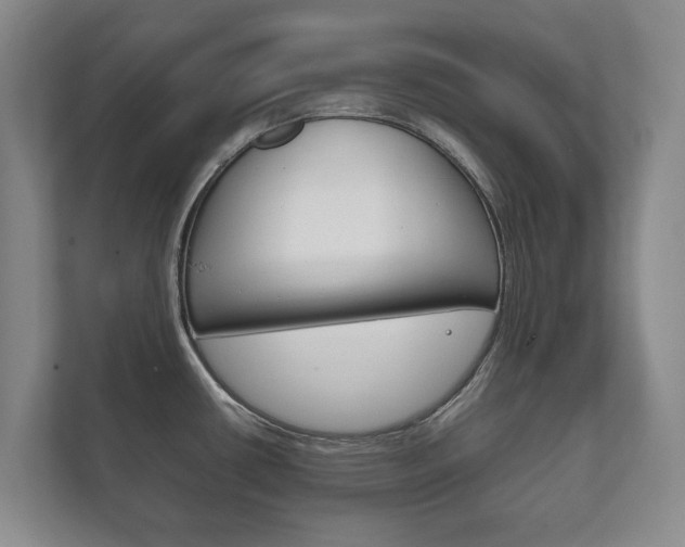 X0000111841434200907231030