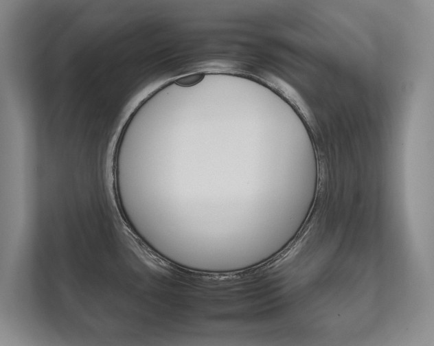 X0000111841435200907231030