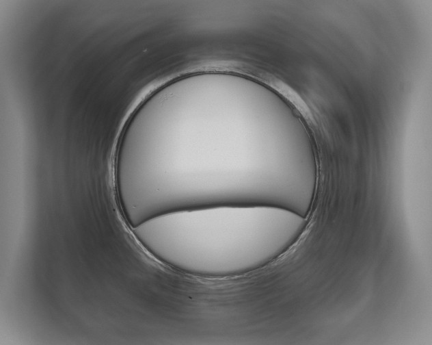 X0000111841436200907231030