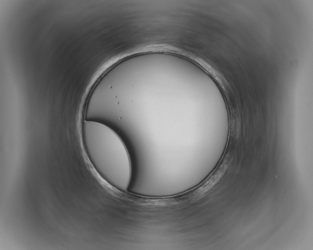 X0000111841438200907231030