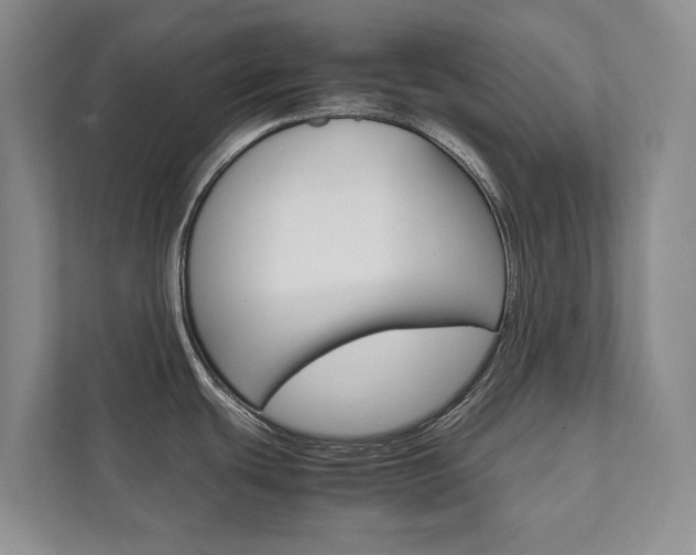 X0000111841439200907231030