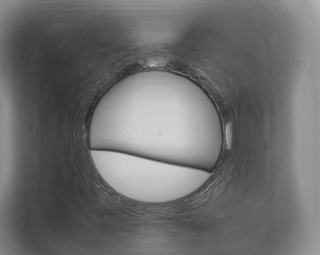 X0000111841443200907231030