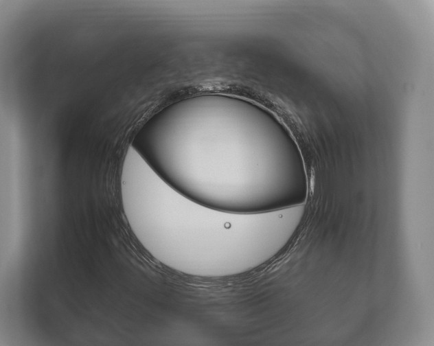 X0000111841444200907231030