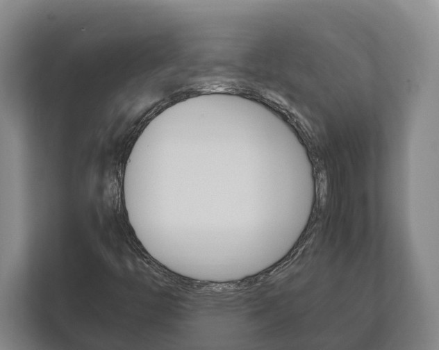 X0000111841446200907231029