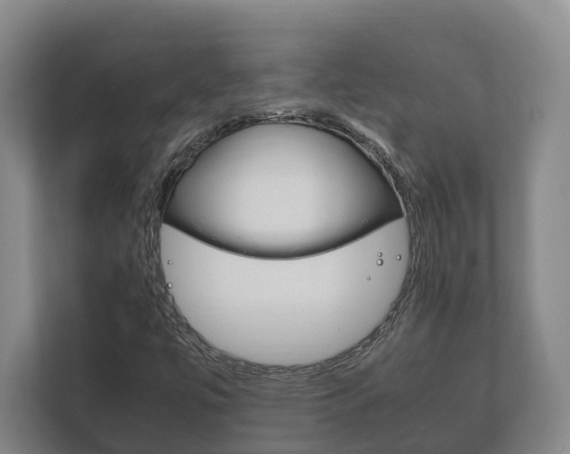 X0000111841447200907231029