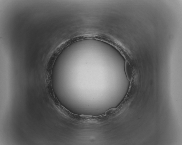 X0000111841448200907231029