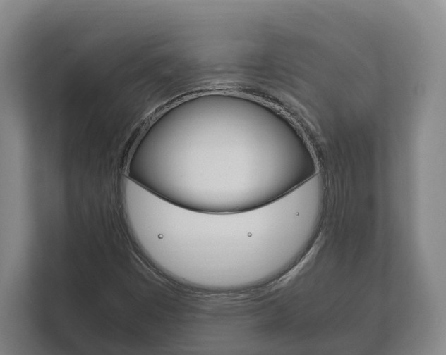 X0000111841449200907231029