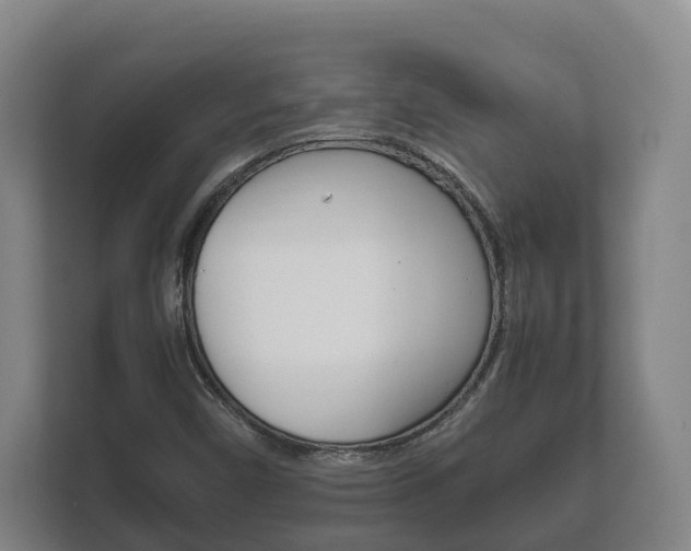 X0000111841450200907231029