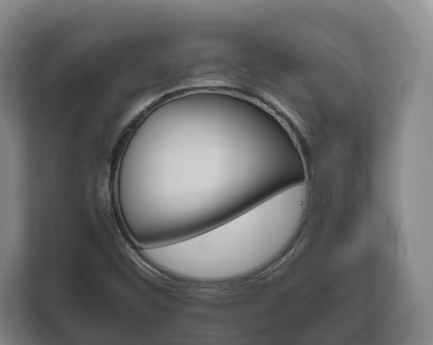 X0000111841452200907231029