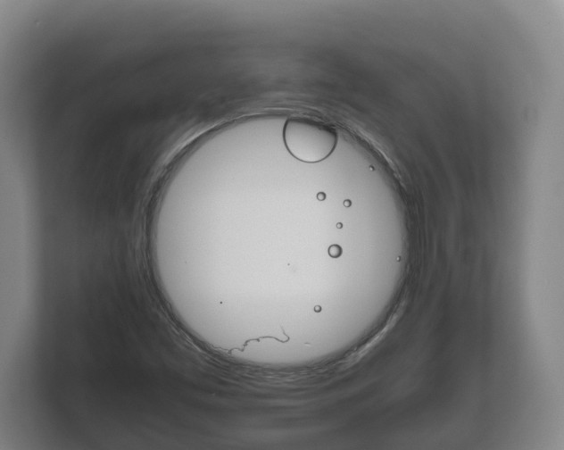 X0000111841453200907231029