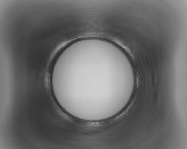X0000111841454200907231029