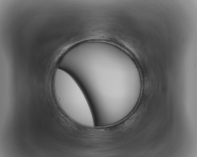 X0000111841455200907231029